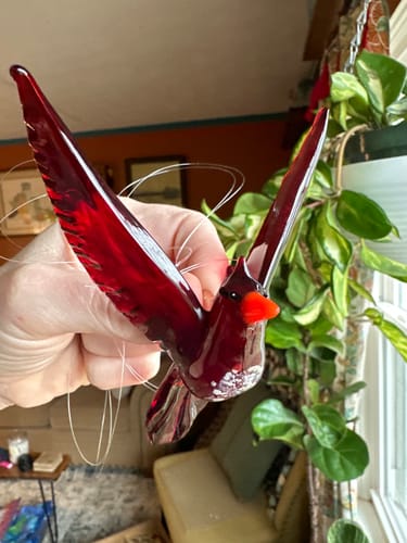 Customer photo review of Flying Cardinal with Cremation Ash
