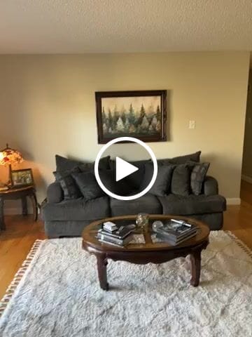 Customer video review of Pine Trees Forest