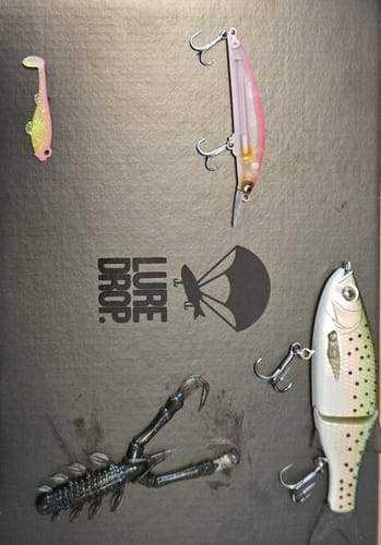 Customer photo review of Lure Drop