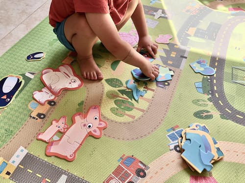 Customer photo review of Brainy Steps Puzzle Adventure