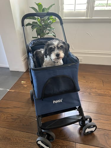 Customer photo review of PaWz Large Dog Stroller Cruiser