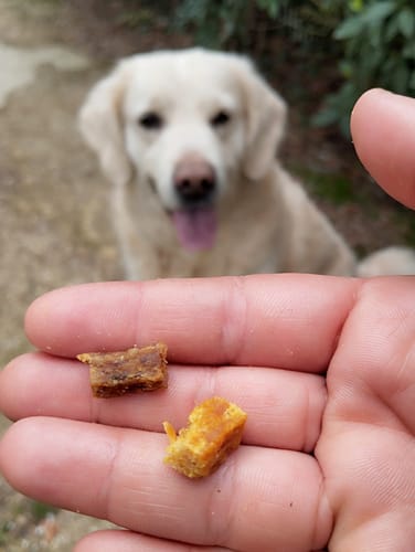 Customer photo review of Cubes de dinde