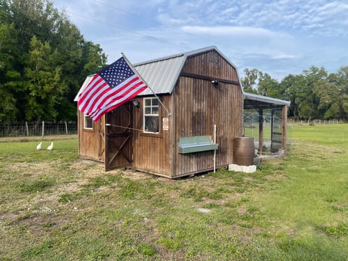 Customer photo review of Large (54") - Reversible Rollout Nest Box (Up to 52 Hens) - Premium Grade - Ready to Ship!