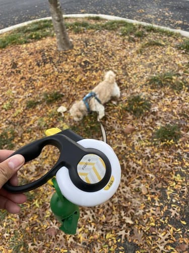 Customer photo review of Fida AutoBrake Leash