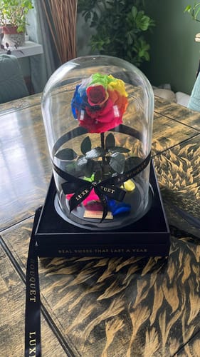 Customer photo review of The Everlasting Rose - Rainbow