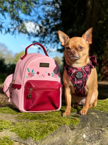 Customer photo review of Mable's Meadow Mini Backpack