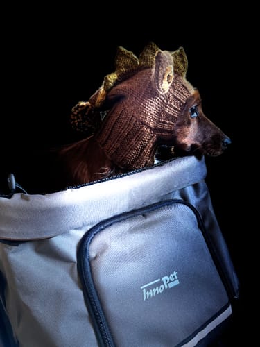Customer photo review of Premium Cozy lemmikkirattaat