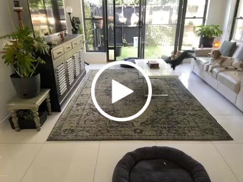 Customer video review of Skye Moss Rug