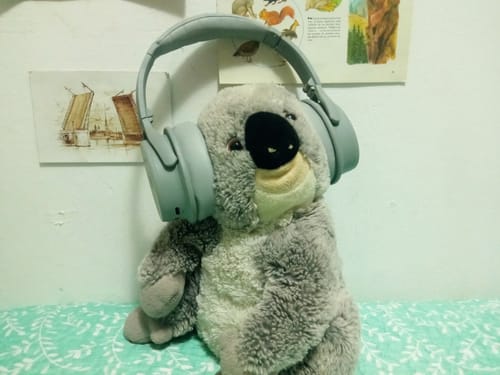 Reseña con foto de un cliente sobre Evo Silver