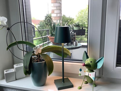 Customer photo review of Nordia Light - Multifunktionale kabellose wiederaufladbare Tischlampe