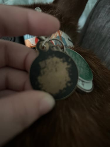 Customer photo review of ByteTag Slide