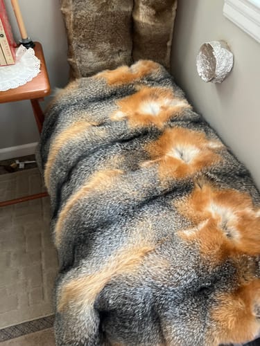 Customer photo review of American Grey Fox Fur Blanket