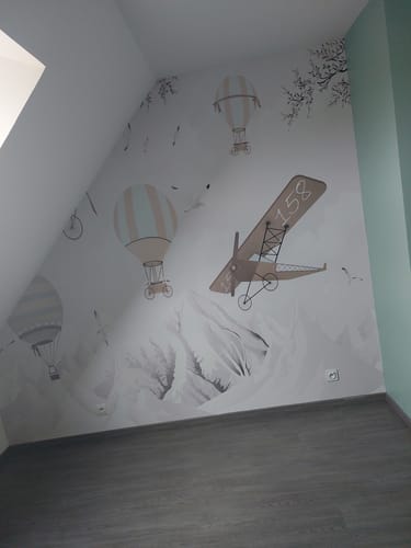 Customer photo review of Papier Peint Avion Montagne Enneigée