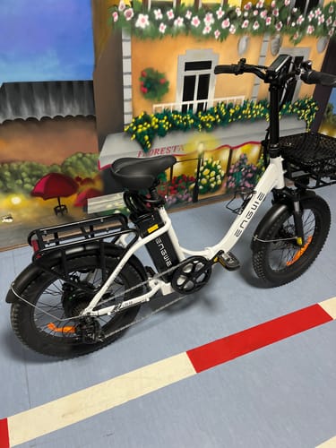 Customer photo review of Engwe L20 SE 250W 20" Foldable Electric Trekking Bike 15.6Ah Step-through E-bike
