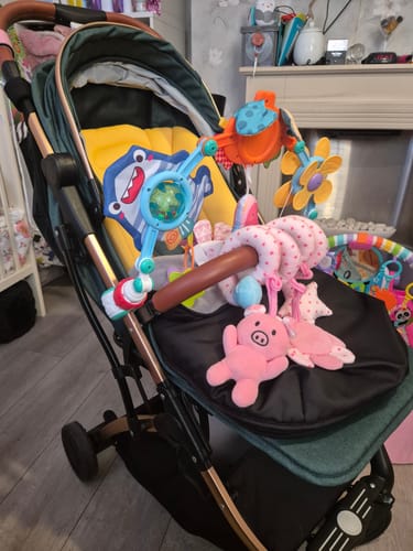 Customer photo review of Lejoux Go Pushchair