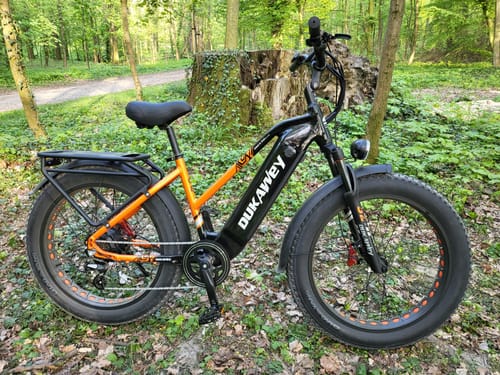 Customer photo review of Dukawey DM530 Plus 1000W 26" Fat Bike All Terrain Electric Bike 52V 20Ah Samsung Battery SUV E-Bike