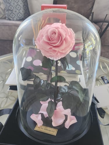 Customer photo review of The Everlasting Rose - Hot Pink