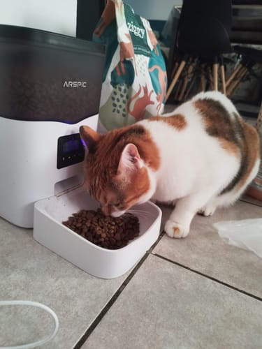Avis photo d'un client sur Croquettes Chat Sans Céréales - Poulet