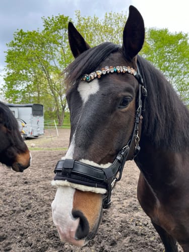Customer photo review of Ania browband