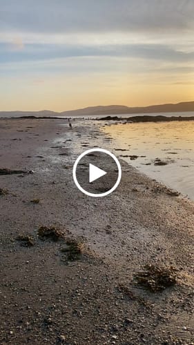 Customer video review of Canagan Senior Feast Wet Dog Food 400g