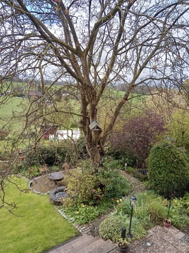 Customer photo review of 2K Outdoor Überwachungskamera / Kabelbetrieben / Wasserdichte WLAN Kamera mit Zwei-Wege-Audio / Outdoor Überwachung durch Nachsicht und Bewegungssensor