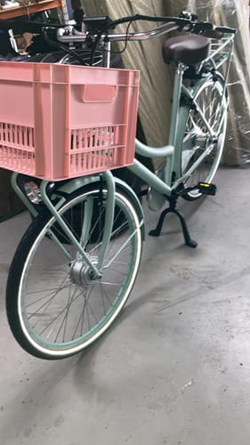 Customer photo review of E-Cargo N7