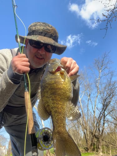 Customer photo review of Montana Fly Company Galloup's Dungeon - Olive (3-Pack)