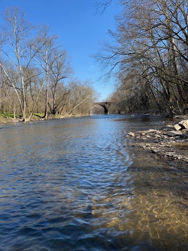 Customer photo review of Montana Fly Company Galloup's Dungeon - Olive (3-Pack)