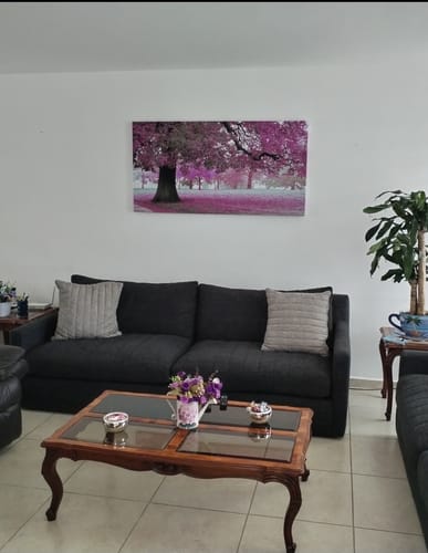 Customer photo review of Árbol de Flor de Cerezo