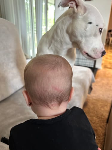 Customer photo review of Tres Generaciones Espresso Italiano