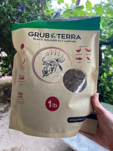 Customer photo review of GrubTerra Dried Larvae Sample