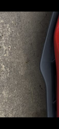 Customer photo review of Ceramic & Graphene Trim Restoration Kit