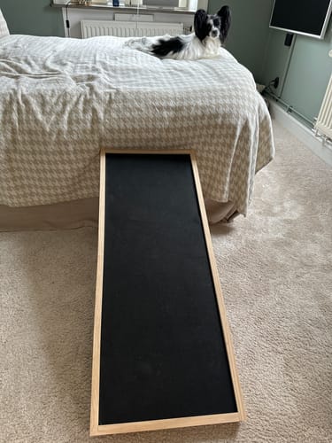Customer photo review of CalmRamp