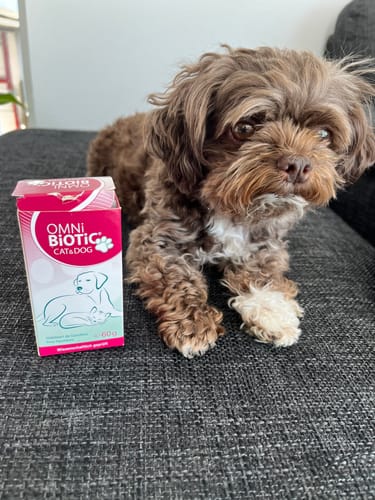 Customer photo review of OMNi-BiOTiC® CAT & DOG