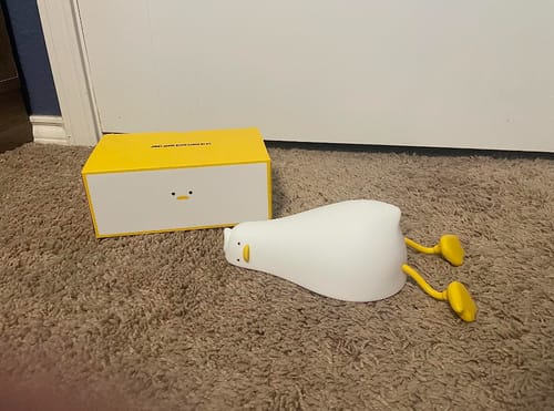 Customer photo review of DuckyLay Duck Lamp™