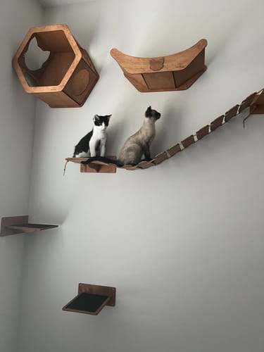Customer photo review of Floating Cat Shelf Perch Oak