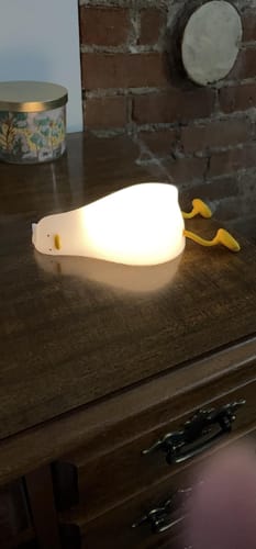 Customer photo review of DuckyLay Duck Lamp™