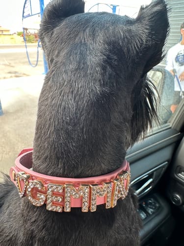Customer photo review of Extra Charms