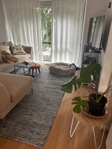 Customer photo review of Nordic Teal Blue Reversible Wool Rug