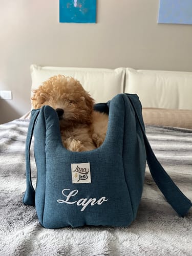 Customer photo review of Trasportino Mattias Bluette (Soft Touch)