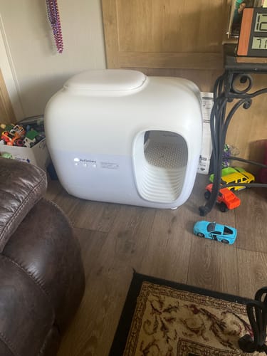 Customer photo review of Self-Cleaning Litter Box