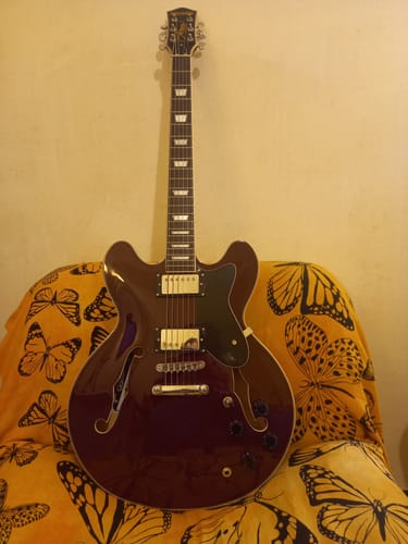 Customer photo review of Donner DJP-1000 chitarra elettrica Jazz