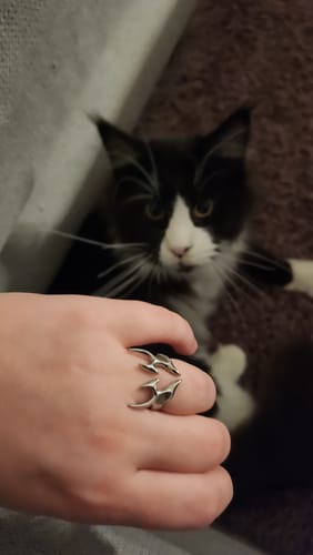 Customer photo review of Tribal Heart Ring