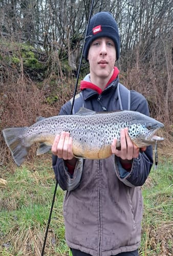 Customer photo review of Lure Drop