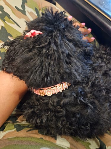 Customer photo review of Extra Charms