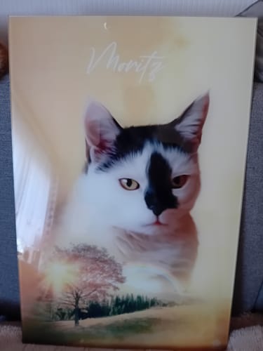 Customer photo review of Natur Pawtrait