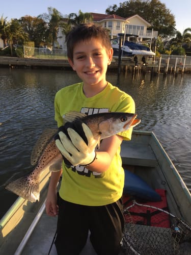 Customer photo review of Blue Wave 300-2000 Yard Spools