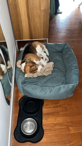 Customer photo review of Divanetto Cotone Urban Azzurro Polvere