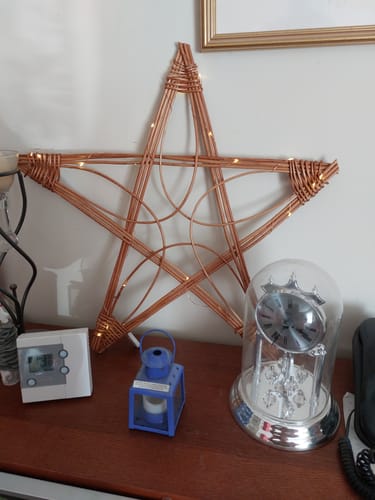 Customer photo review of Getting Started with Willow - Online Course and Kit