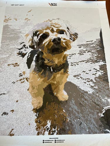 Customer photo review of BPBN Shipping Protection